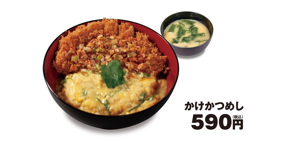 かけかつめし　590円